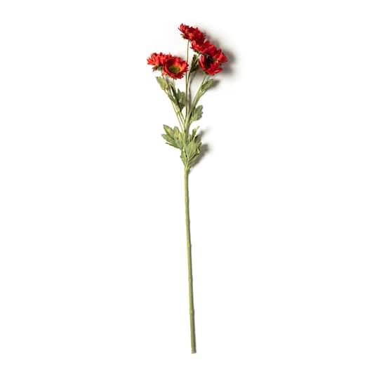 Rust Daisy Mum Stem by Ashland®